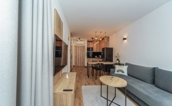 apartament Śląsk z widokiem