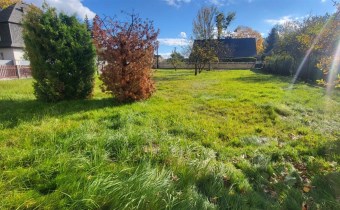 Ogród z miejscem do wypoczynku – spokojna okolica 