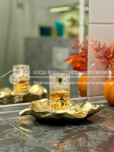 Przedpokój – funkcjonalna strefa wejściowa z miejs