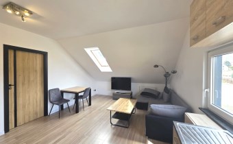 Nowoczesny salon z aneksem kuchennym w mieszkaniu 