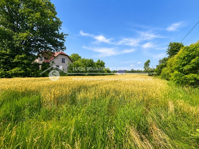 Duża działka 2 994 m² w Kaniowie objęta MPZP pod z