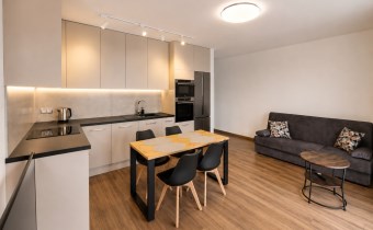 Przestronny salon z nowoczesnym aneksem kuchennym 