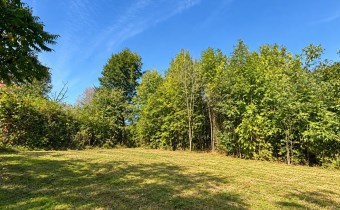 DZIAŁKA NA SPRZEDAŻ W BUCZKOWICACH – 1 204 M²  Dzi