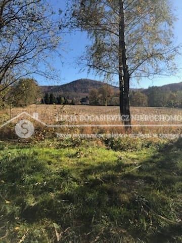 Na sprzedaż działka budowlana w Jaworzu